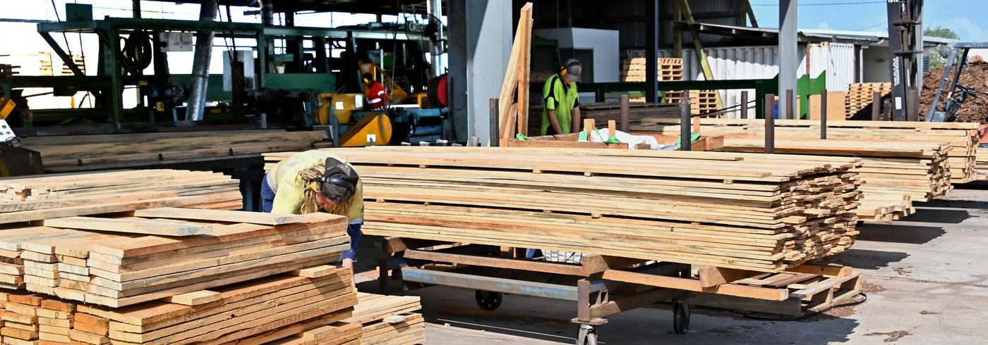 LigoWood sazāģēti taras dēļi kokzāģētavā